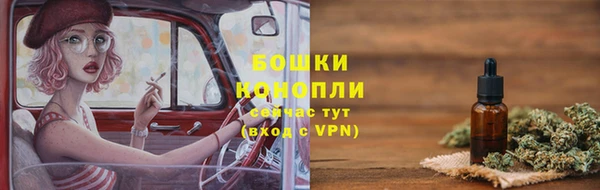 мдпв Горно-Алтайск
