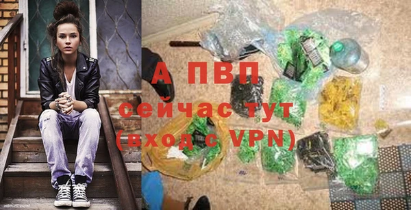 индика Вязники