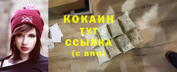 ешки Вяземский