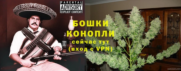 ешки Вяземский