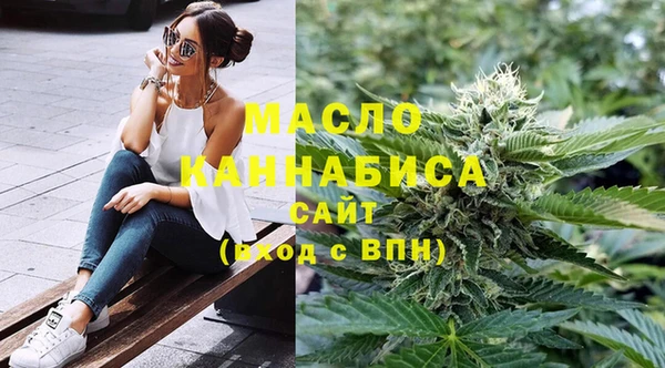 индика Вязники