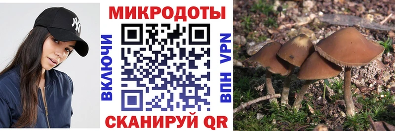 Галлюциногенные грибы мицелий  что такое наркотик  Елизово 