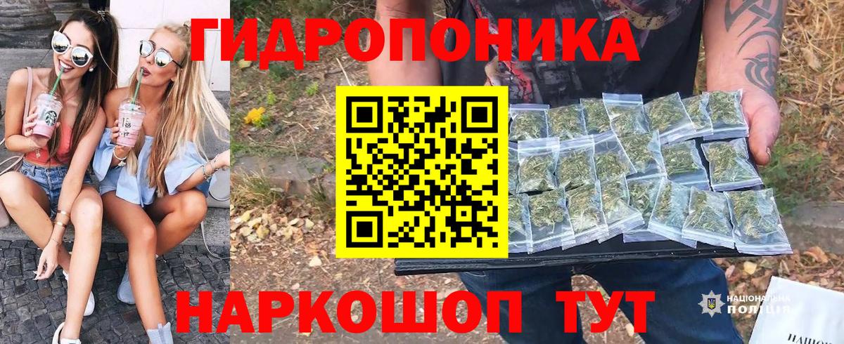Марихуана сатива Елизово